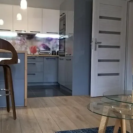 Apartment Apartament Skandynawski Premium Szczecin