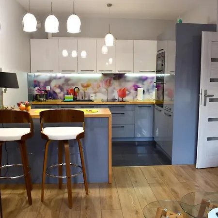 アパート Skandynawski Premium シュチェチン