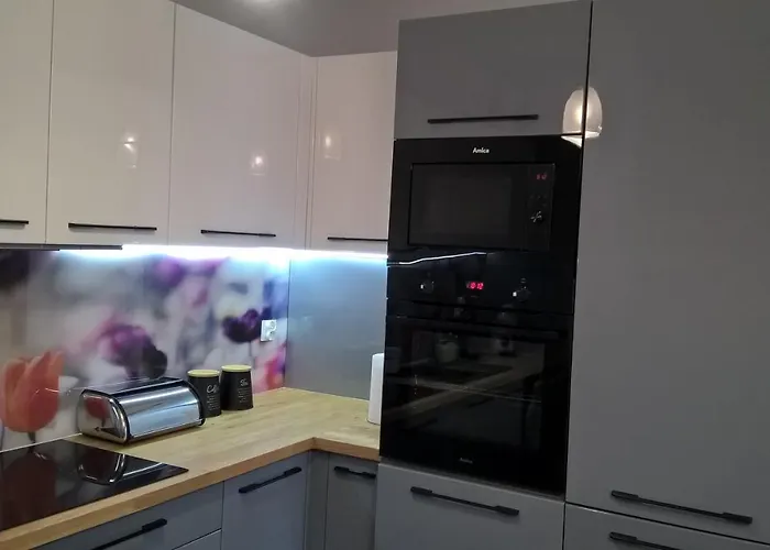 Skandynawski Premium Apartment *