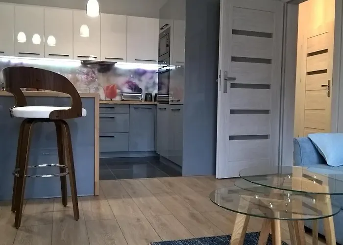 Apartment Skandynawski Premium Stettin