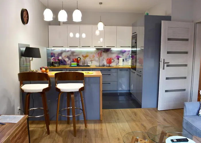 Apartment Skandynawski Premium Stettin